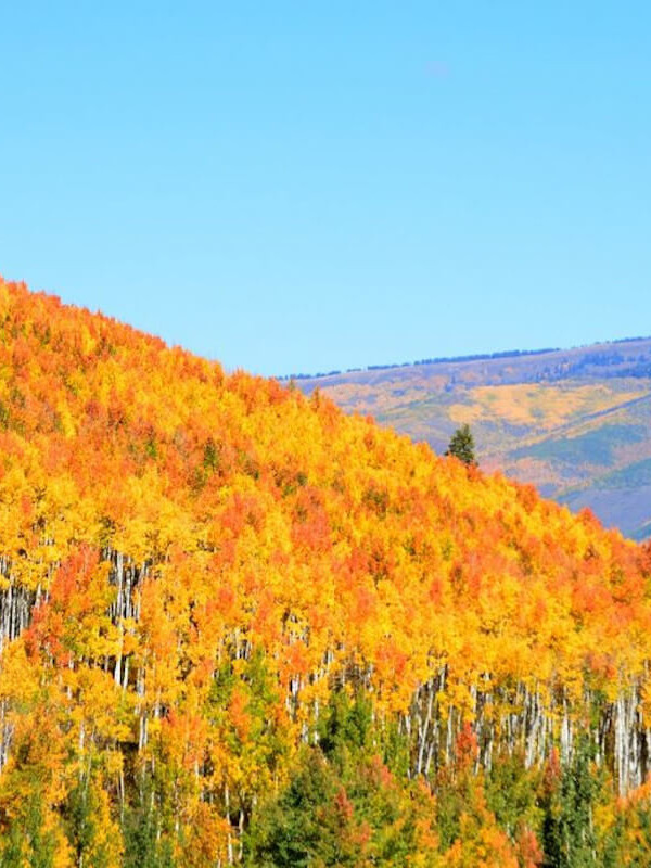 Glenwood Springs, Colorado fall colors