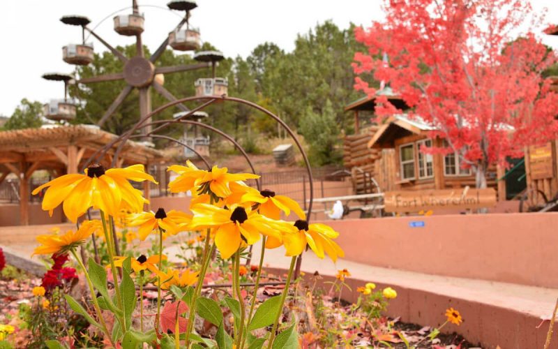 Glenwood Caverns Adventure Park