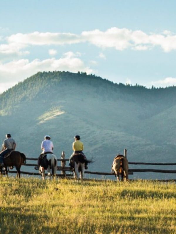 Glenwood Springs Horseback Riding Trips