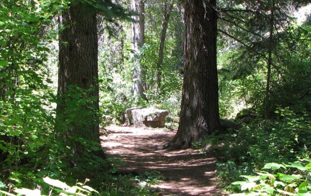 Grizzly Creek Trail