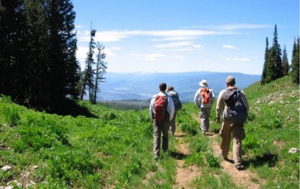 Mitchell Creek Trail